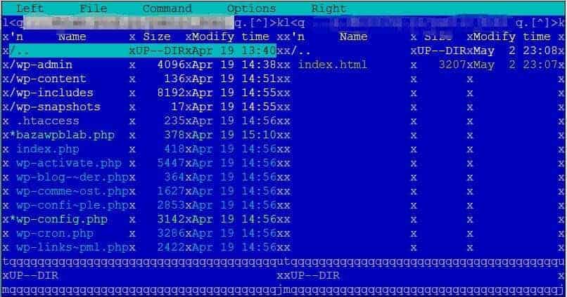 File manager ukrywający się na serwerach Linux pod komendą mc