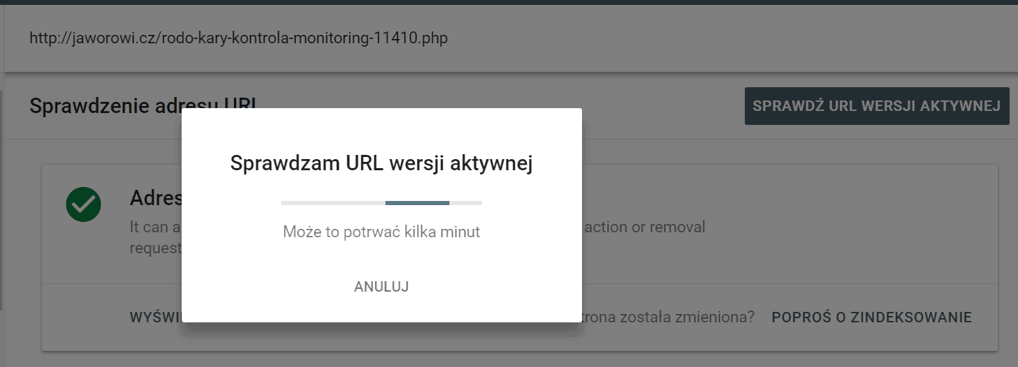 Sprawdzanie wersji aktywnej w Google GSC