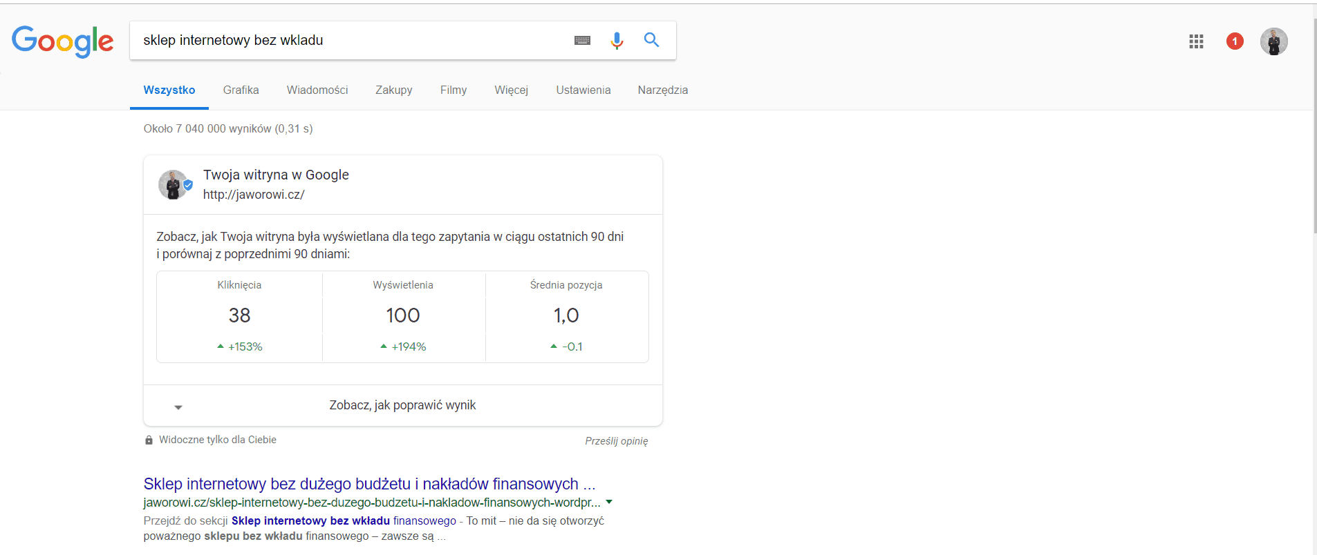 Google Search w SERP
