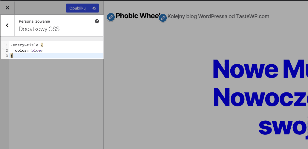 Dostosowanie Dodatkowy Css WordPress