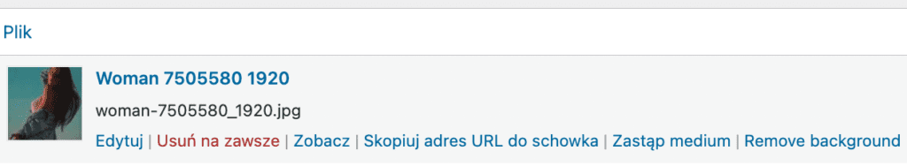 Usuwanie Tła Ze Zdjęć WordPress
