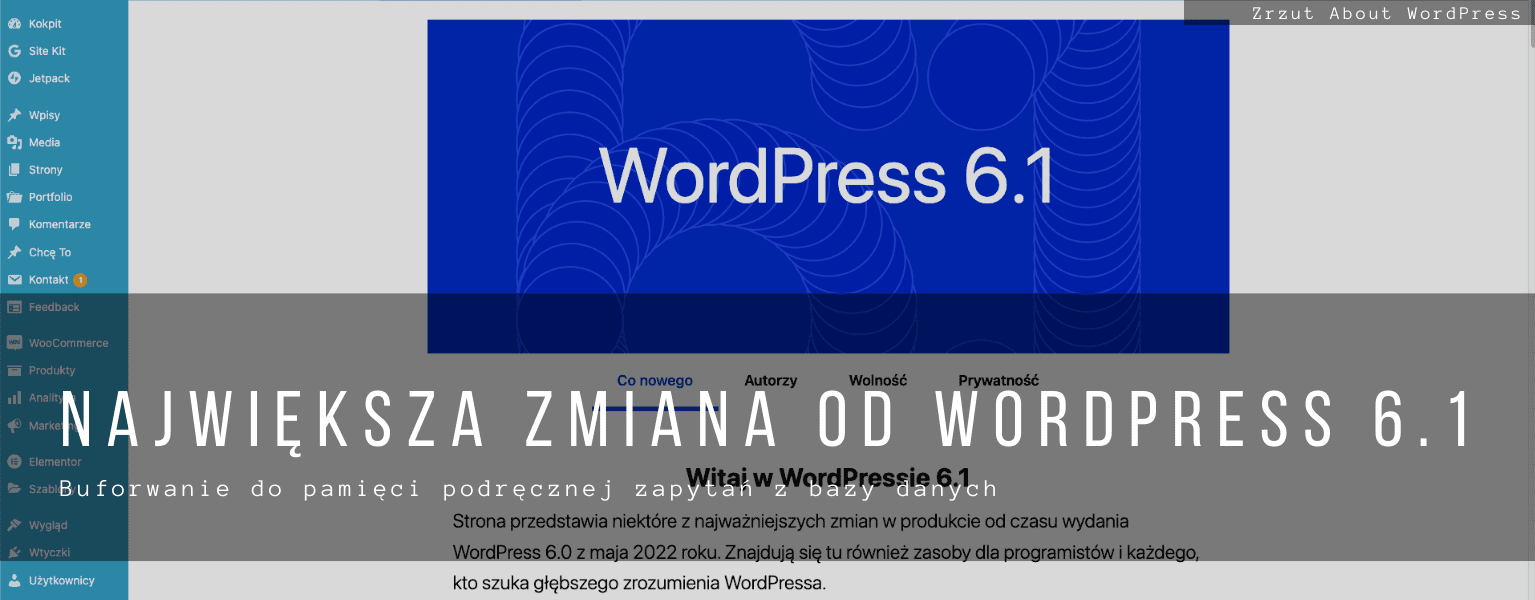 Buforwanie Zapytan Do Bazy Danych Optymalizacja Wordpress 6.1